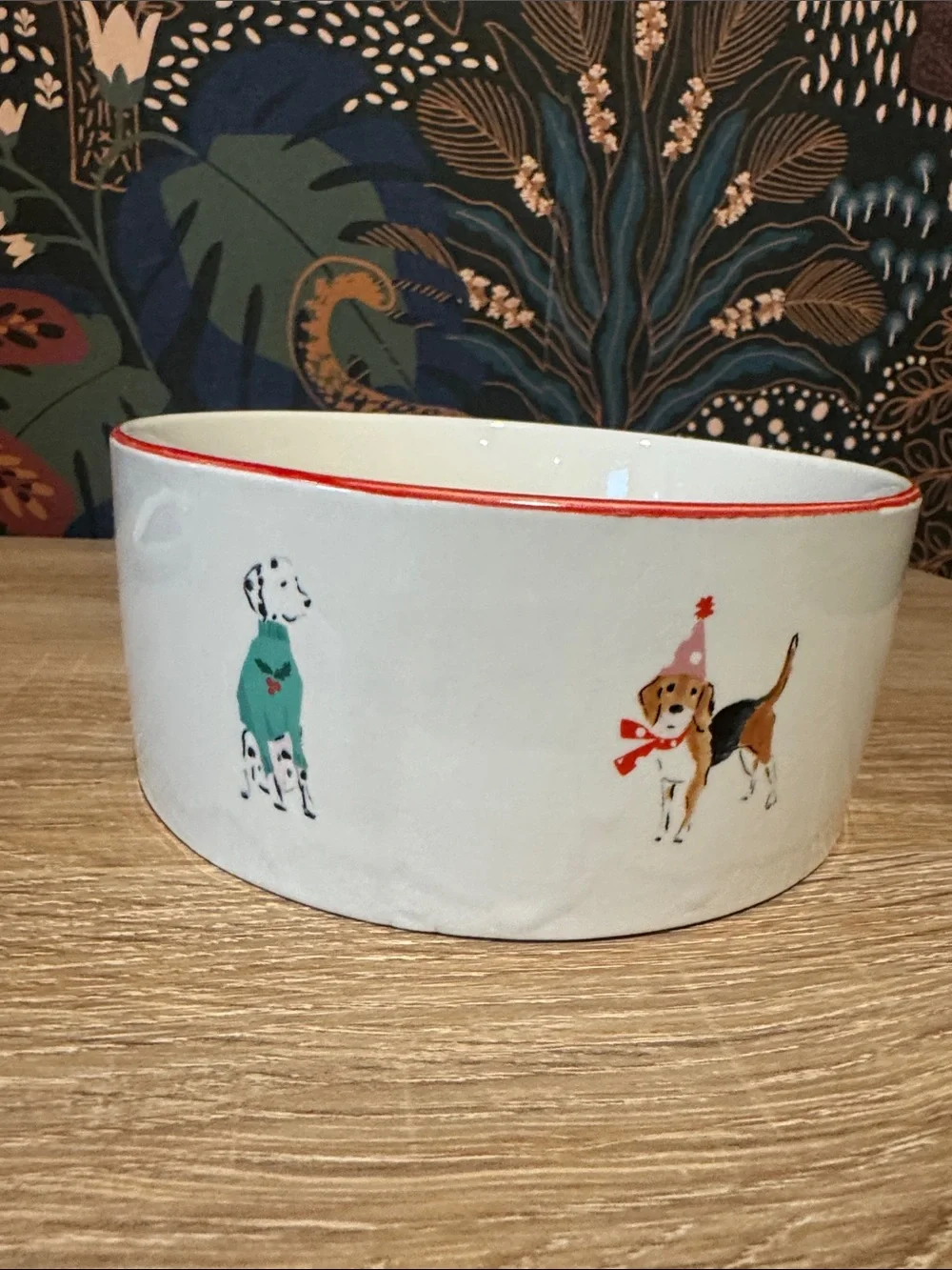 NWOT | Beth Briggs Holiday dog bowl